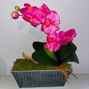 Hot pink potted silk orchid plant